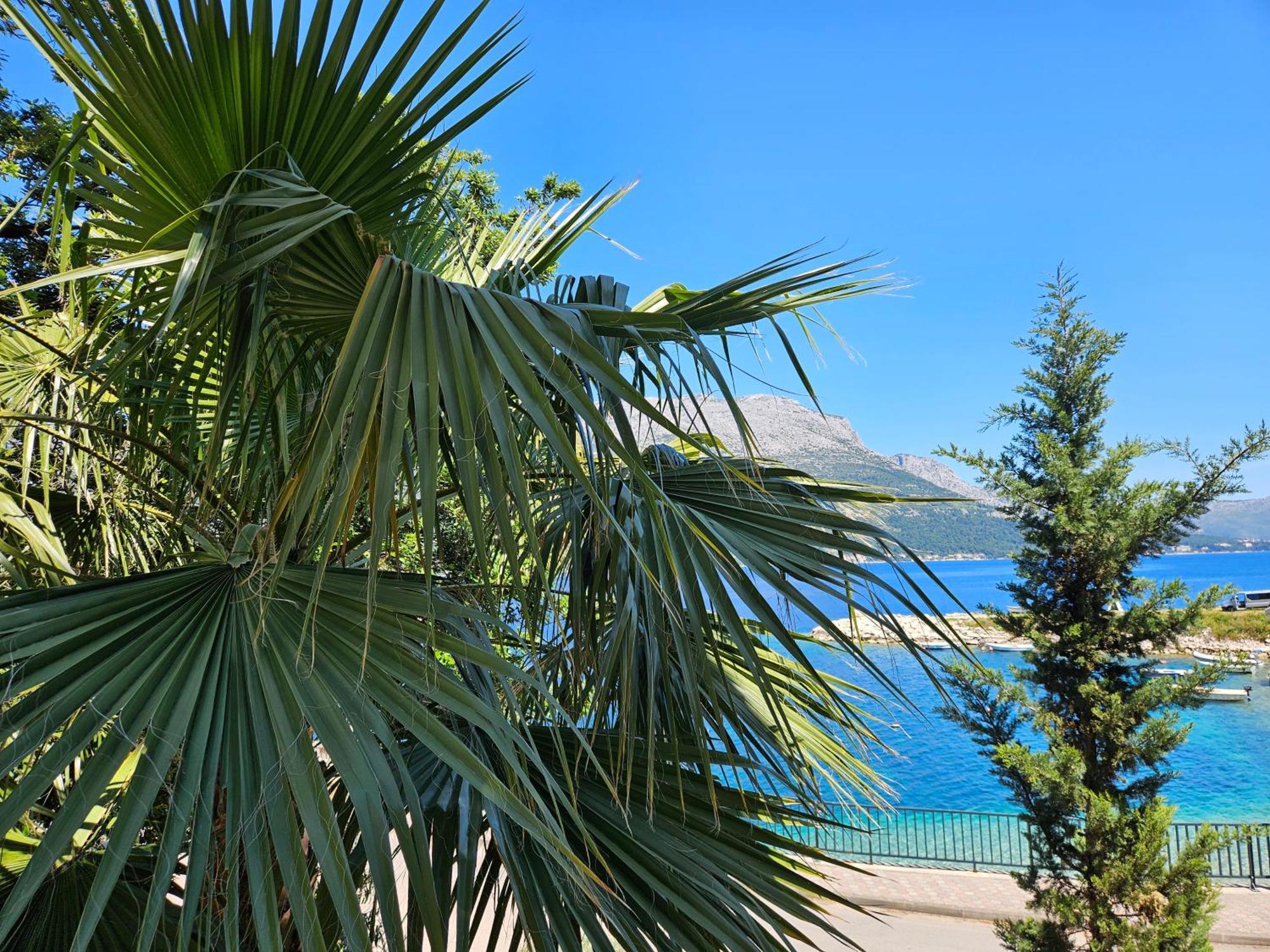 Villa Jade Apartments Front Row Sea View - Walk To Korcula Old Town Medvinjak Екстер'єр фото