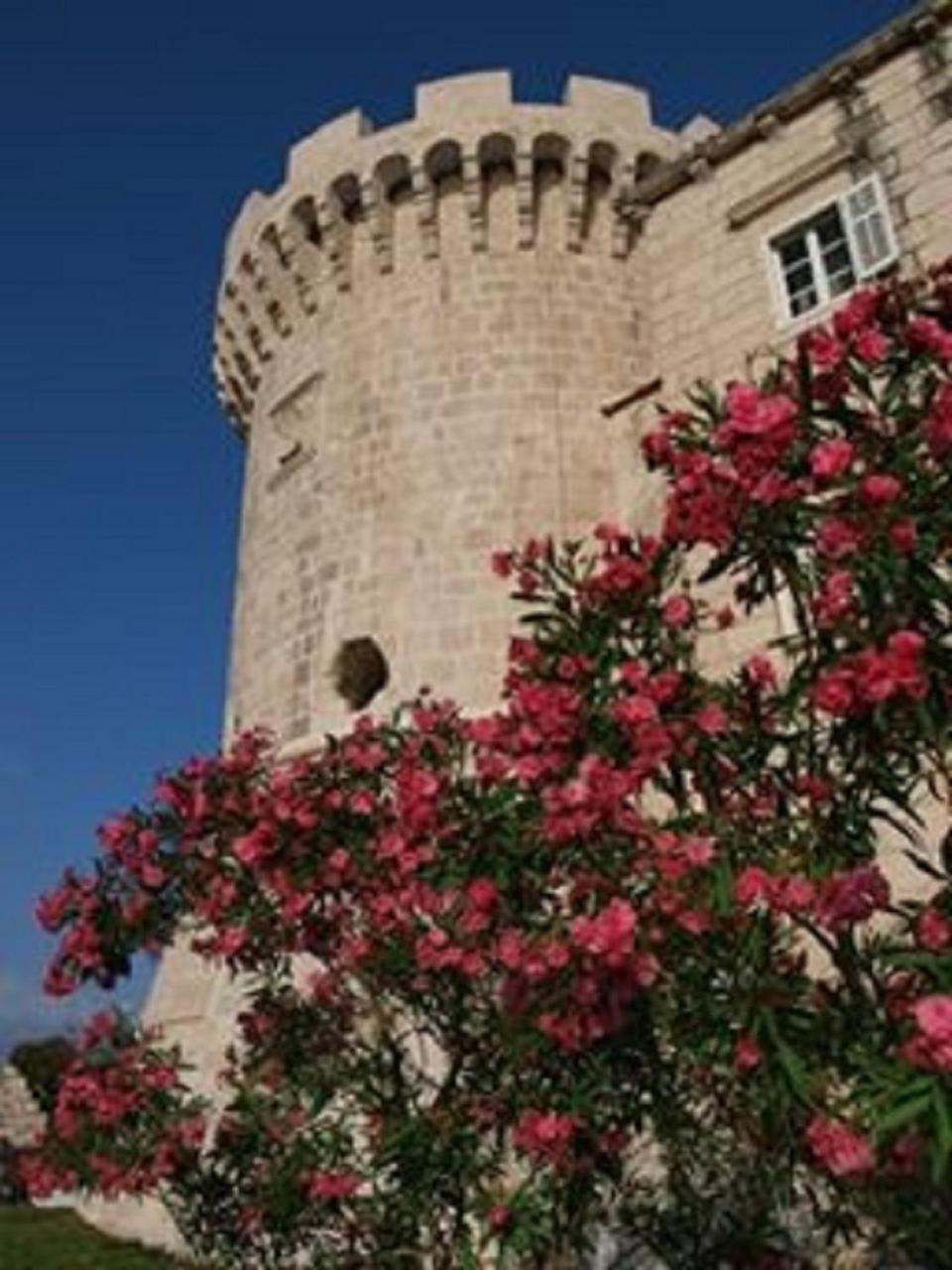 Villa Jade Apartments Front Row Sea View - Walk To Korcula Old Town Medvinjak Екстер'єр фото